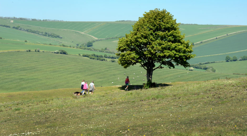 Blueprint for future of the South Downs approved