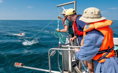 University seabed study is underway off Sussex Coast